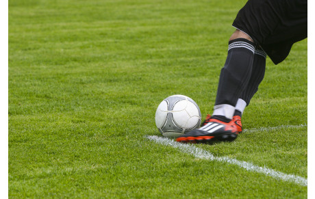 Ils ont quitté la coupe la tête haute ...