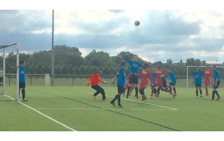 Lille Louvière / ES GENECH Équipe C   1  -  8